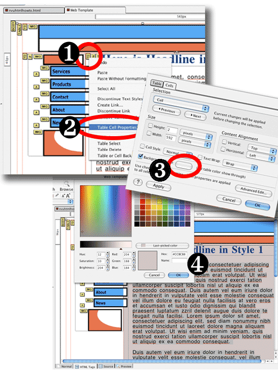 Stepstochangecellcolor